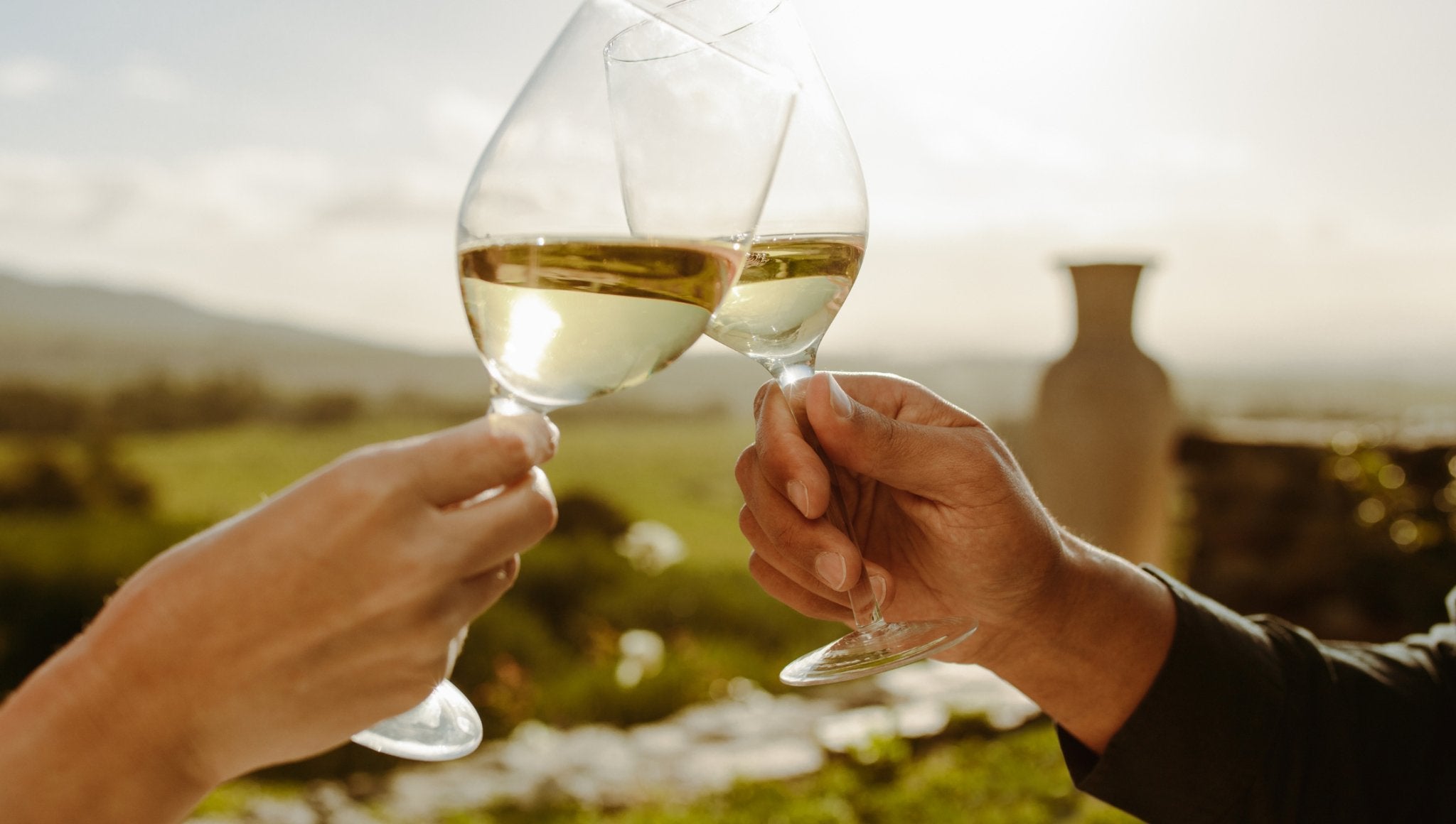 Celebrating International Sauvignon Blanc Day: A Journey Through the Regions