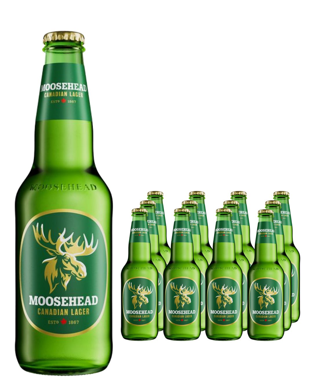 Moosehead Canadian Lager Beer Multipack, 12 x 350 ml Beer