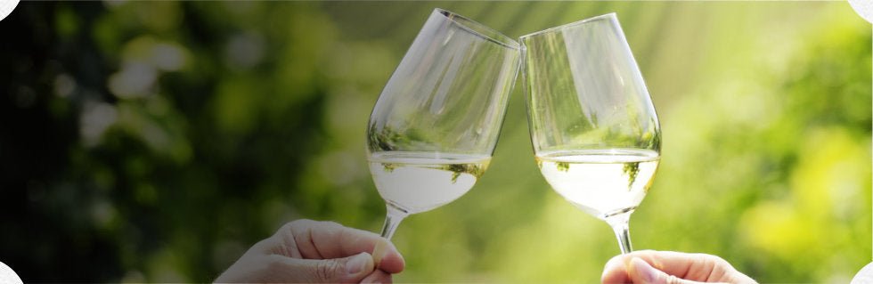 5-Ways-To-Keep-Drink-Your-White-Wine The Bottle Club