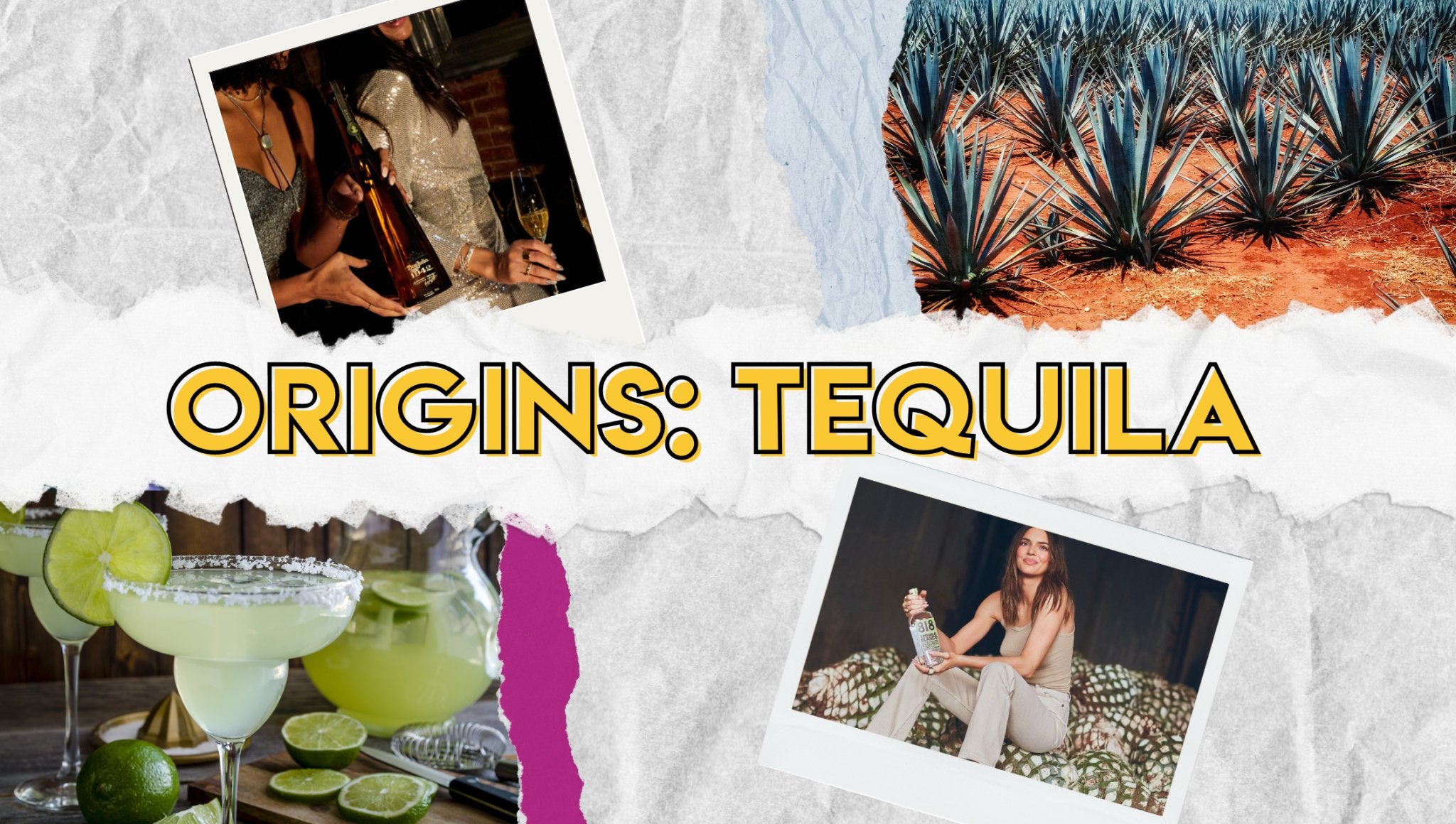 Origins of Tequila: A Tale of Agave