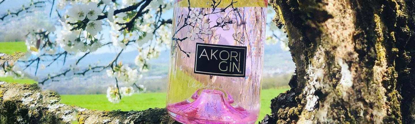 Akori - The Bottle Club