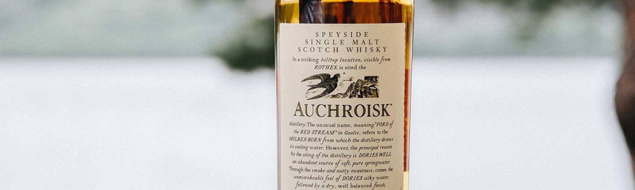 Auchroisk - The Bottle Club