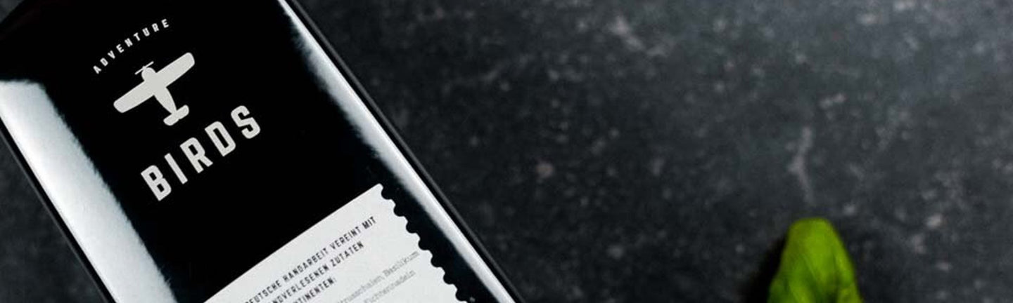 Birds - The Bottle Club