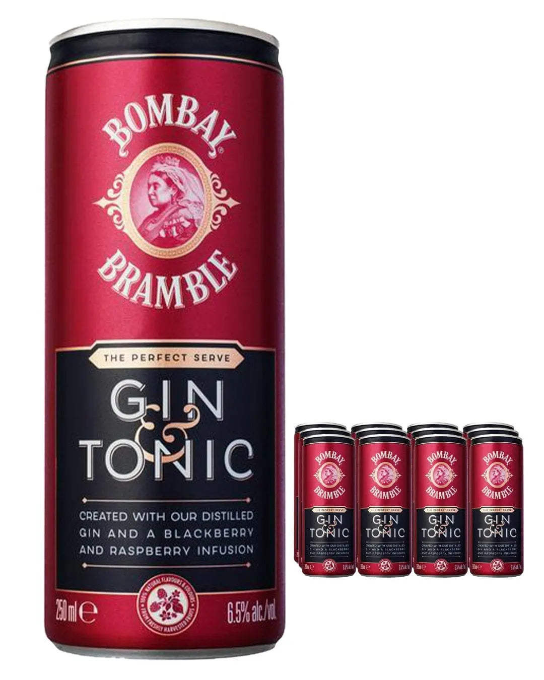 Bombay Bramble Gin & Tonic Premixed Cocktail Can Multipack, 12 x 250 ml Ready Made Cocktails