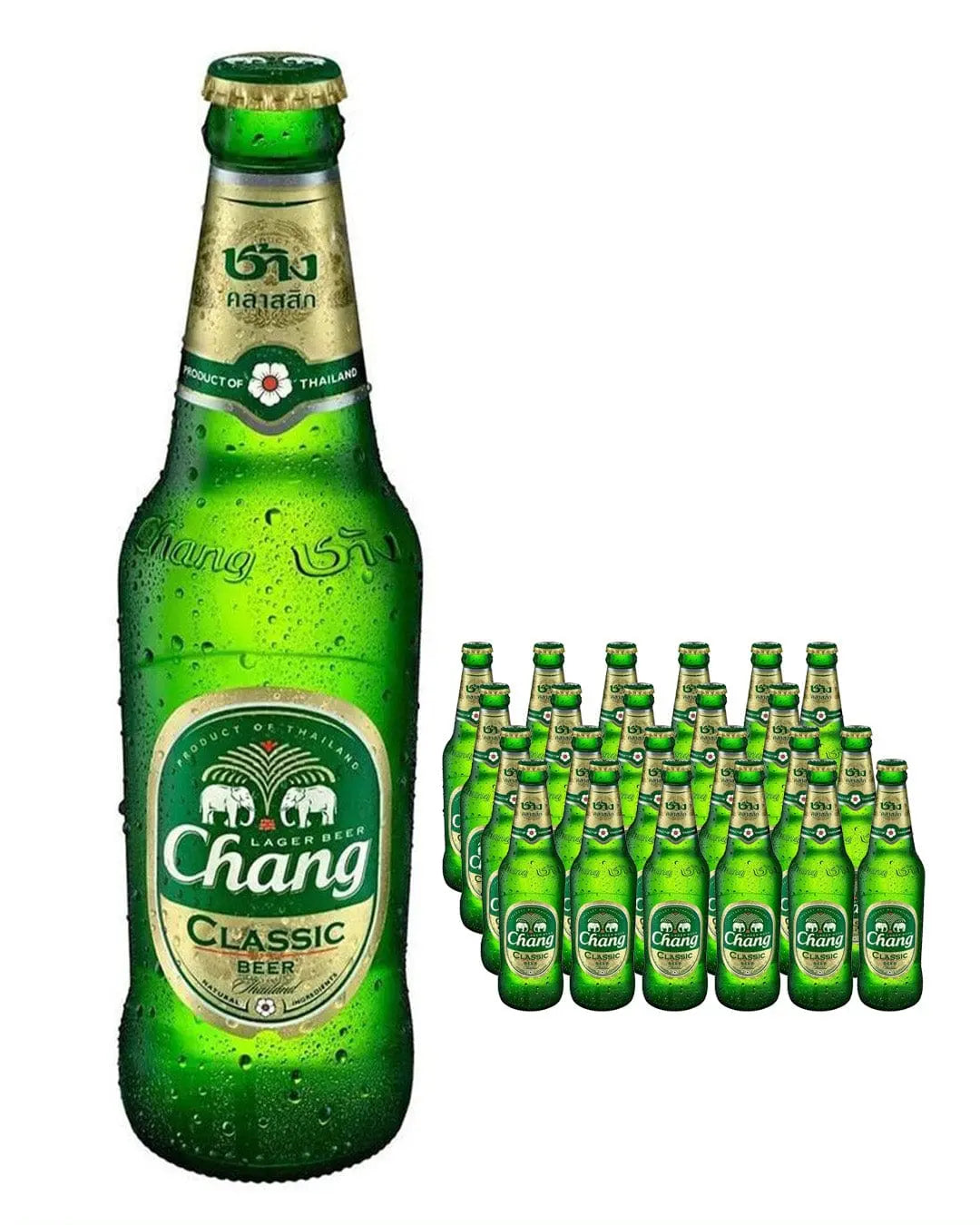 Chang Lager Beer Bottles, 24 x 320 ml Beer 8851994513104