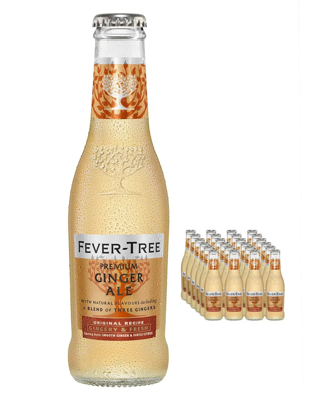 Fever-Tree Premium Ginger Ale Multipack, 24 x 200 ml Soft Drinks & Mixers 05060108450102
