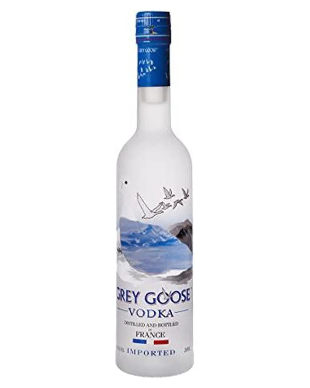 Grey Goose Vodka Small Bottle, 20 cl Vodka 80480280048