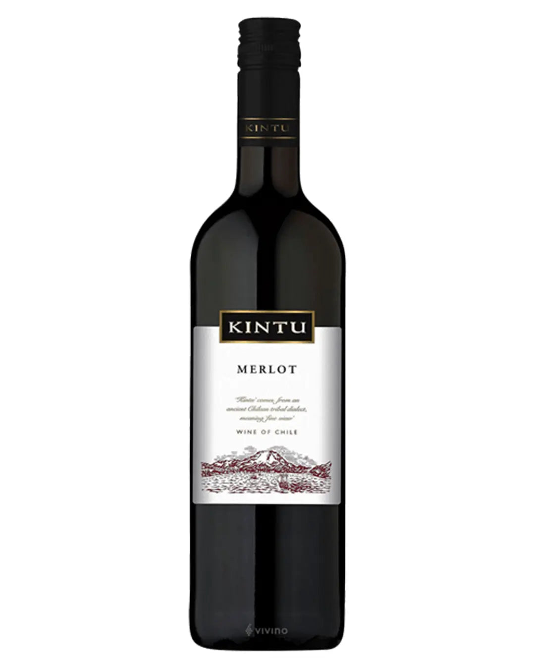 Kintu Merlot 2020, 75 cl Red Wine 7804310548411