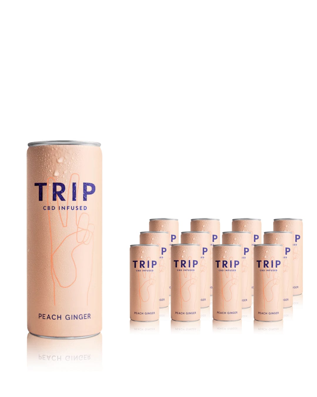 Trip Drink Peach Ginger Fizzy Drink Multipack, 12 x 250 ml – The Bottle ...